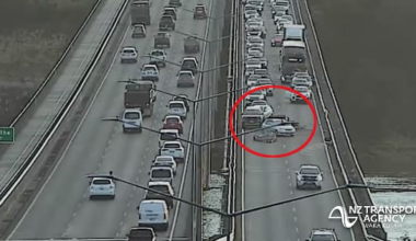 Traffic delayed after digger falls off truck in Auckland