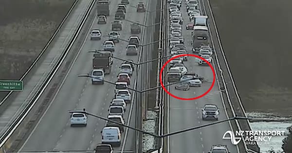 Traffic delayed after digger falls off truck in Auckland