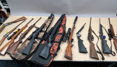 43 arrested, 96 guns seized