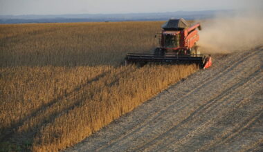 Brazil soy deal that curbs Amazon deforestation to be suspended in 2026