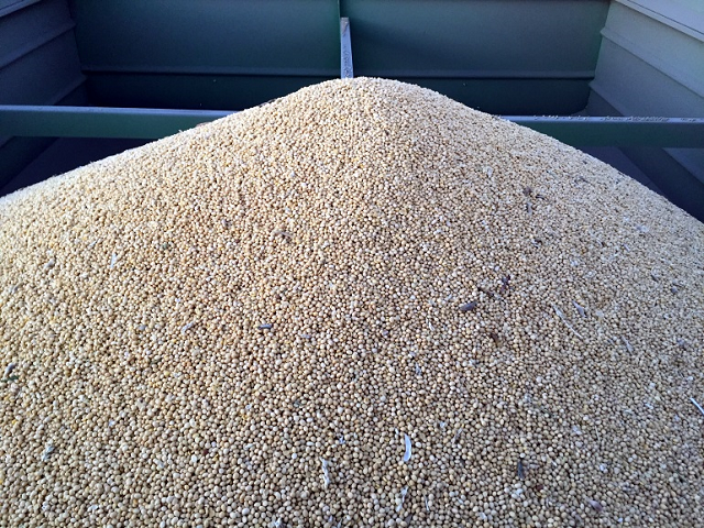 Global trade tensions continue to put pressure on the markets - DiscoverAirdrie.com