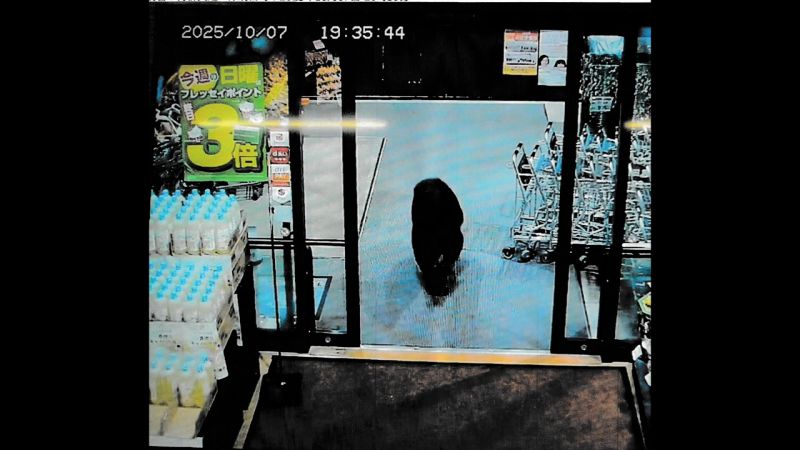 Bear enters Japanese supermarket, pounces on customer, as nationwide toll reaches new high