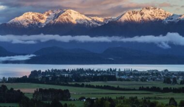 'Unheard of': Dozens apply for Te Anau factory hand role