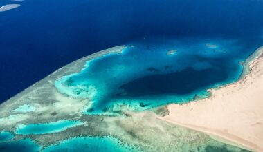 Discover Magazine Logo