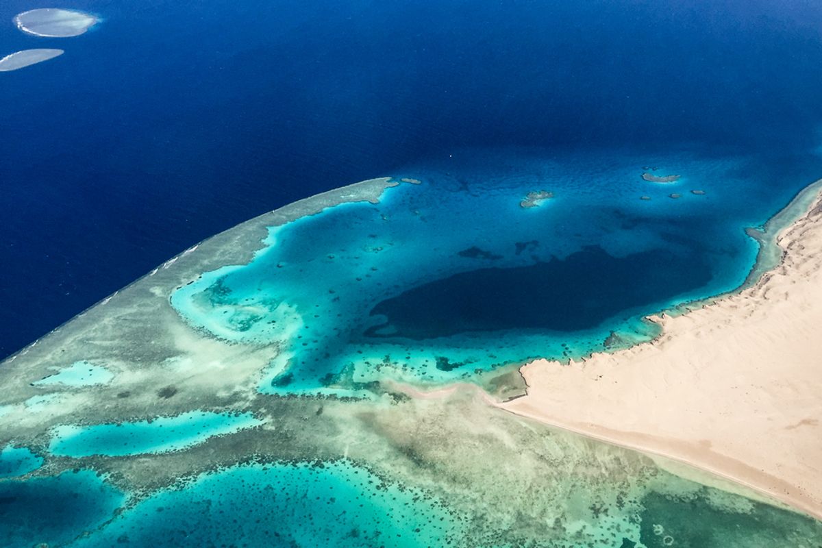 Discover Magazine Logo