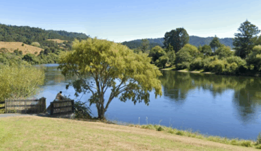 Call for signs at swim hole after dad drowns