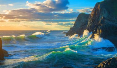 Illustration of Earth's Climate Regulation Through Ocean Feedback Loops and Rock Weathering.