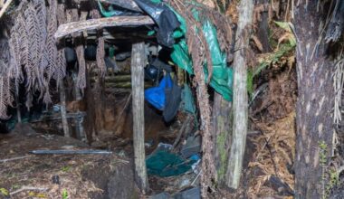 Tom Phillips' 'primary campsites' found