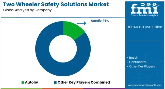 Two Wheeler Safety Solutions Market Analysis By Company