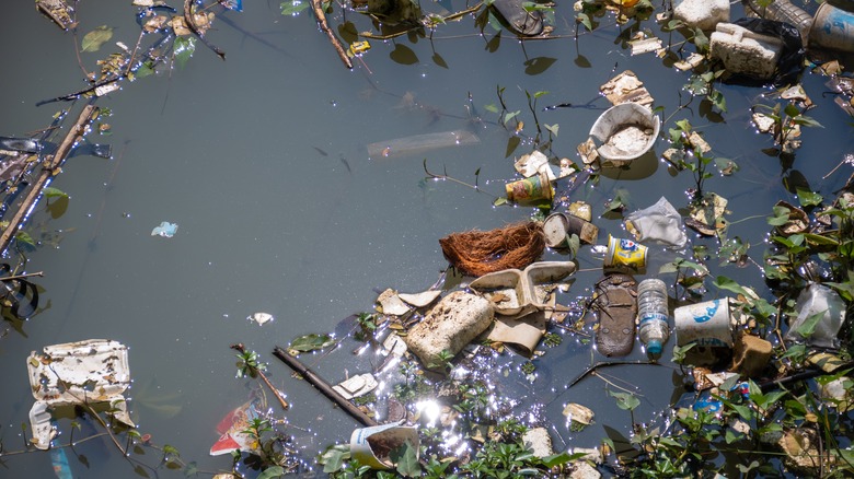 plastic pollution in water