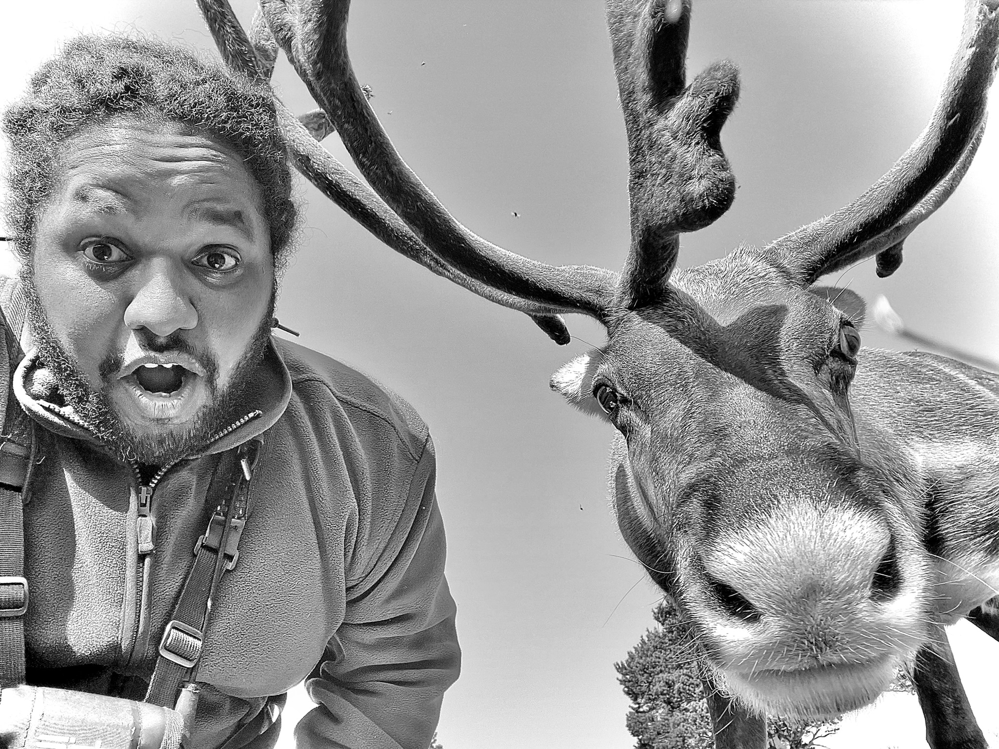 Black and white close-up of a man with an open mouth making a surprised face, next to a reindeer with large antlers.