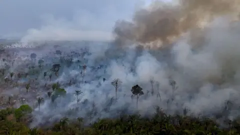 Getty Images An aerial view of a fire in the Amazon rainforest near the city of Labrea, Amazonas state, northern Brazil, on 4 September, 2024. 