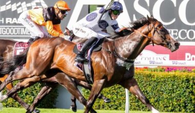 Overpass winning the Group 1 Winterbottom Stakes at Ascot Picture: Western Racepix