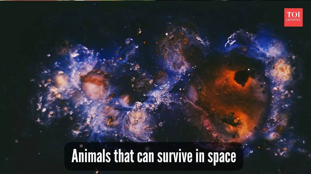 ​5 incredible animals found on Earth that can survive the harsh conditions of space