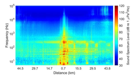 Spectogram shows the silencing of narwhals while a ship passes – video 