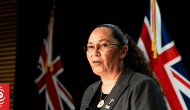 Details of gun law reforms unveiled as Cabinet signs off