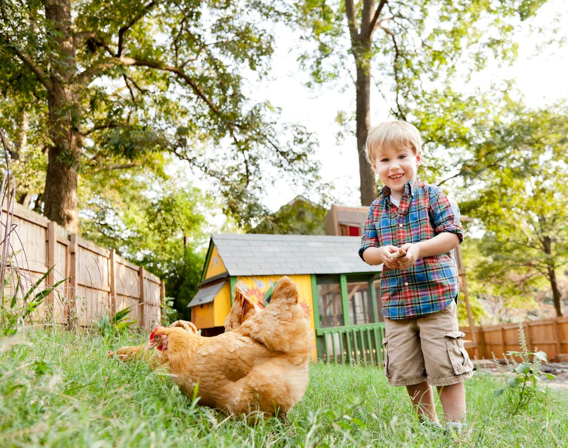 Could Your Backyard Provide All Your Protein?