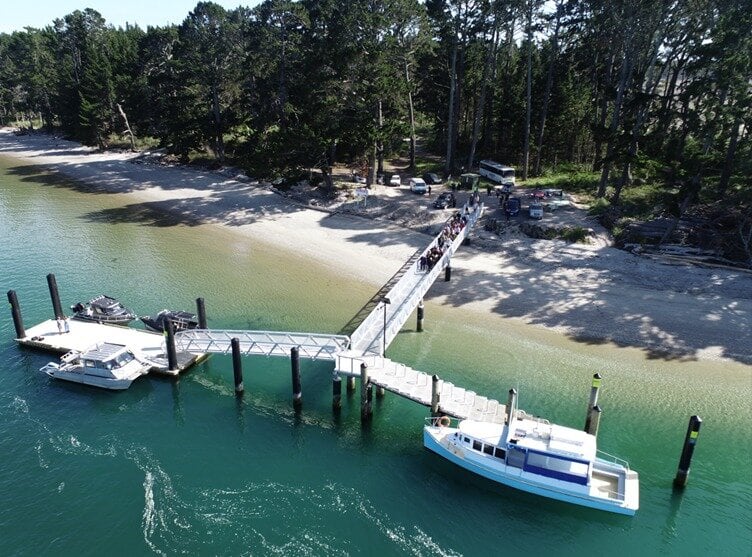 SunLive - New Matakana Island wharf opens