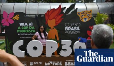 Cop can be torturous and tedious – but here’s why it’s worth paying attention | Environment