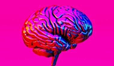 Using AI for therapy? Don't - it's bad for your mental health, APA warns