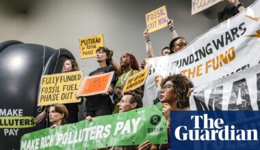 The two extraordinary young activists making me feel optimistic at Cop30 | Environment