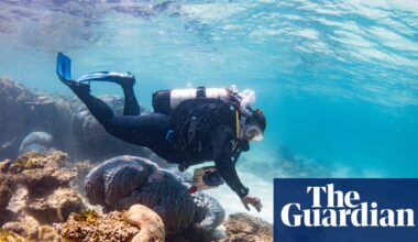 ‘Deathly silent’: two out of three corals in world heritage-listed Ningaloo reef have been killed, scientists confirm | Ningaloo reef