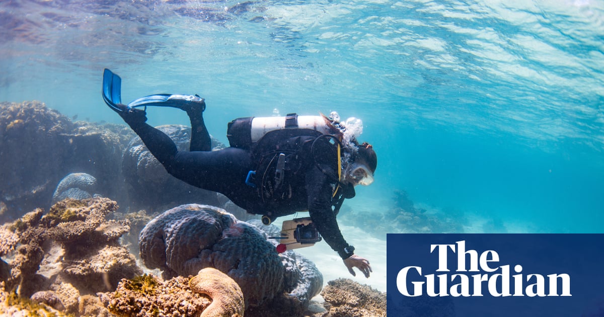 ‘Deathly silent’: two out of three corals in world heritage-listed Ningaloo reef have been killed, scientists confirm | Ningaloo reef