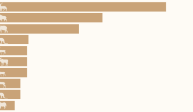 Just ten species make up almost half the weight of all wild mammals on Earth