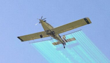 Who’s Ready to Think About Blocking Out the Sun?