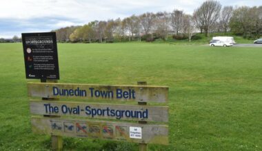 Youth coach hit in head by booze can flung from Dunedin homeless camp