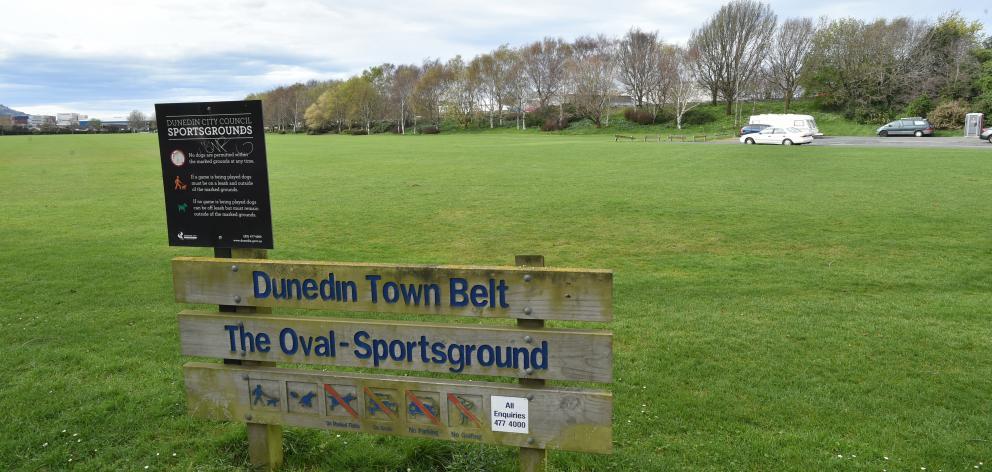 Youth coach hit in head by booze can flung from Dunedin homeless camp