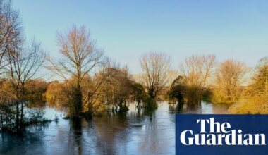 Country diary: The river has risen to meet the trees. This is Storm Claudia’s work | Flooding