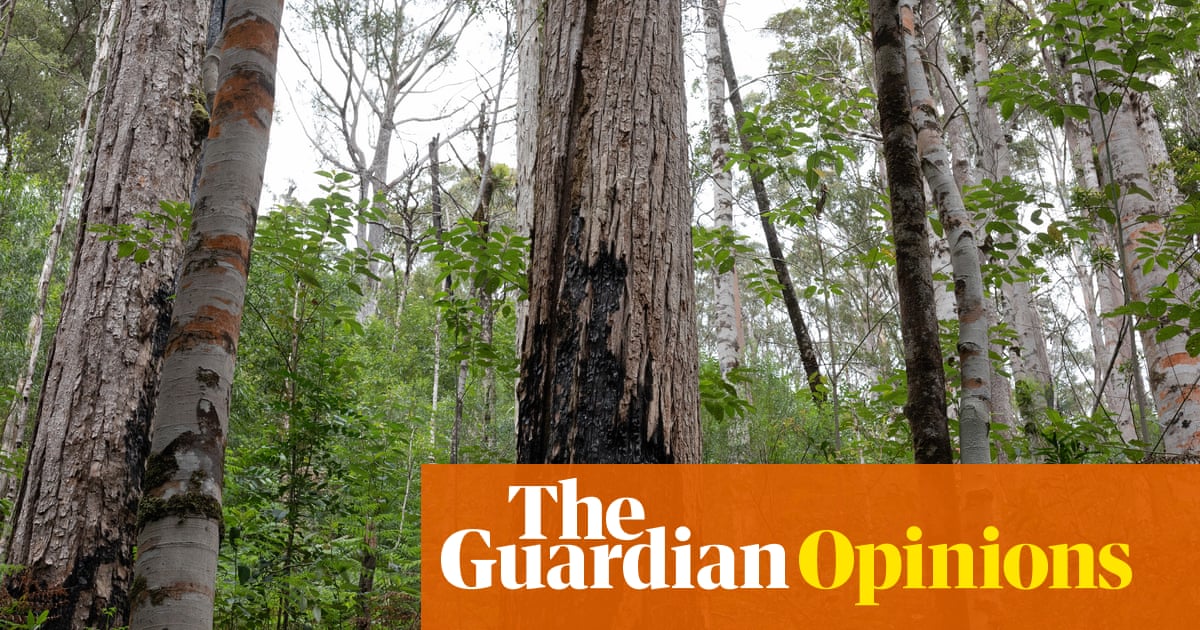 Australia finally acknowledges environment underpins all else. That’s no small thing | Ken Henry