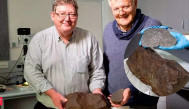 He tried breaking a strange rock with a hammer, drill or acid, it turned out to be a 4,60,00,00,000-year-old space traveller