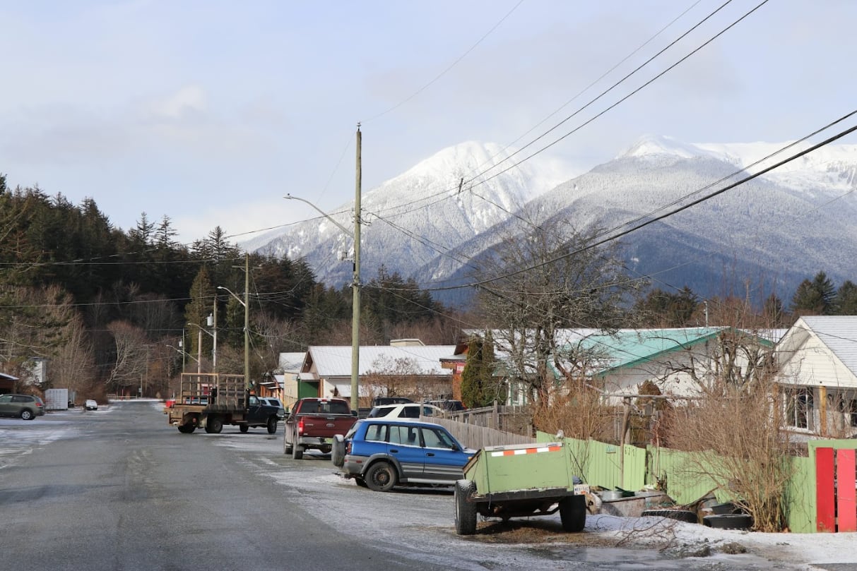 A road in the winter with some homes and parked cars with a nearby forest and snowcapped mountains in the background