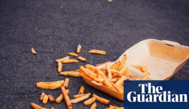 Ministers to crack down on ‘for-profit’ litter enforcers in England | Waste