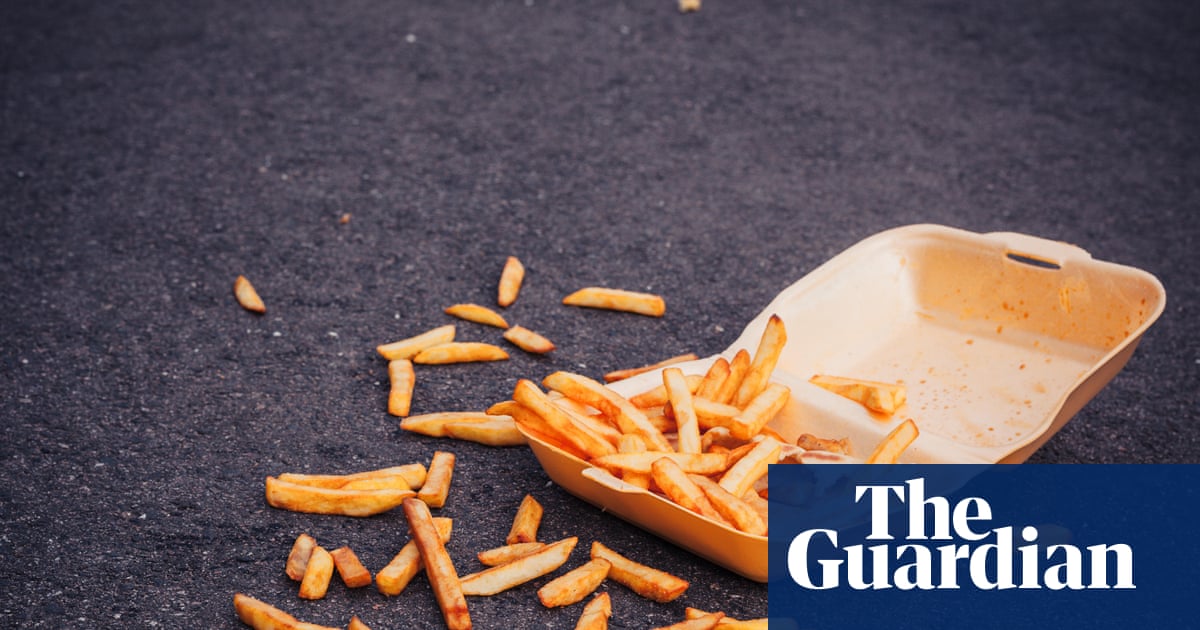 Ministers to crack down on ‘for-profit’ litter enforcers in England | Waste