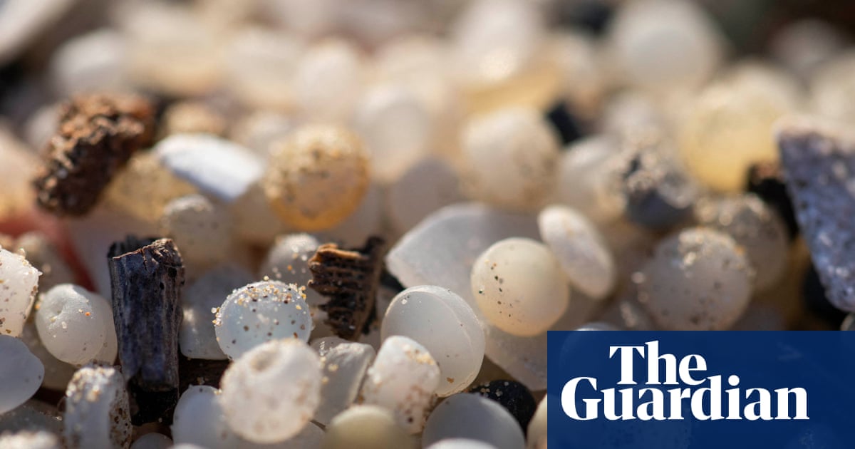 Plastic nurdles found at 84% of UK sites of special scientific interest | Plastics