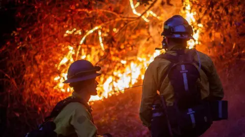 Reuters Two firefighters dressed in yellow and black protective clothing watch on as a bright orange fire blazes among some branches.