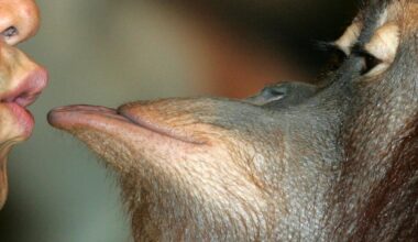 20 million years of kissing