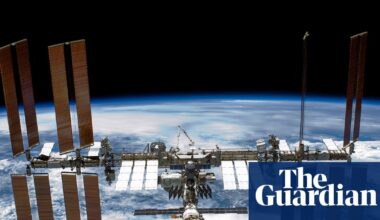 Moss in space: spores survive nine-month ride on outside of ISS | Biology