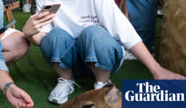 Cuddling capybaras and ogling otters: the problem with animal cafes in Asia | Illegal wildlife trade