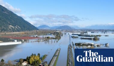 ‘Without our expertise, mistakes get made’: the Cop30 campaign to give workers a voice | Environment