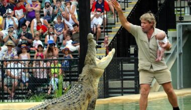 Crocodile that battled Steve Irwin now ‘too dangerous’ to roam free