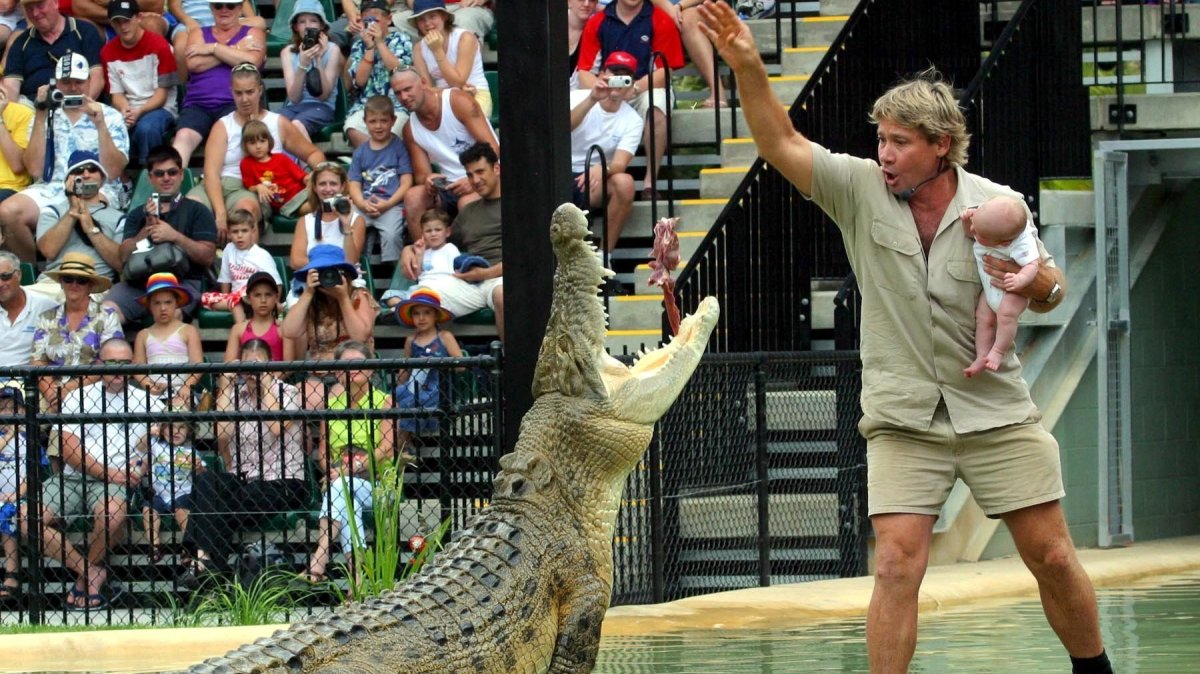 Crocodile that battled Steve Irwin now ‘too dangerous’ to roam free
