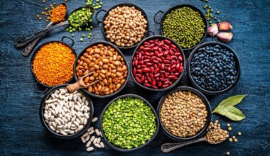 Why we should eat beans every day — and which are the healthiest