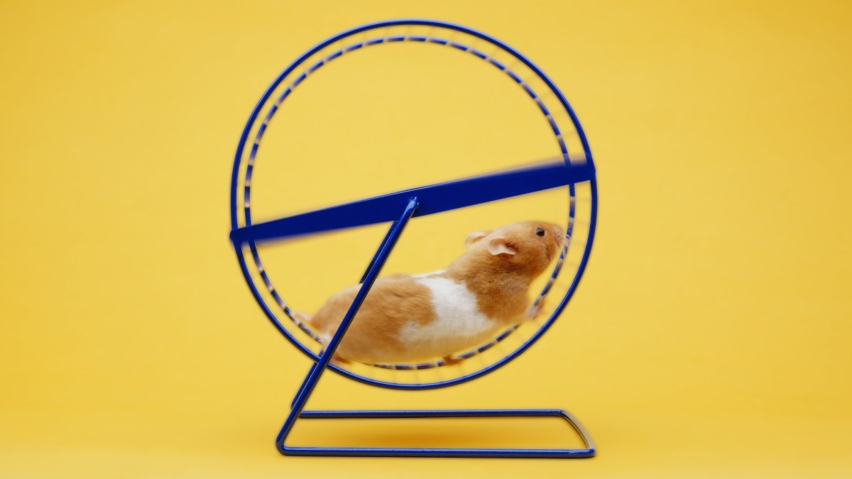 The three best treadmill workouts to try in under 40 minutes