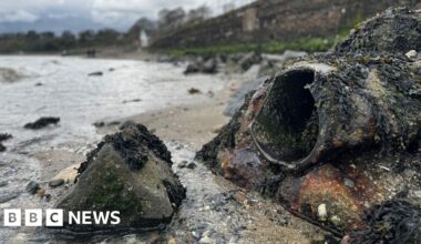 Environment watchdog to investigate sewage discharges