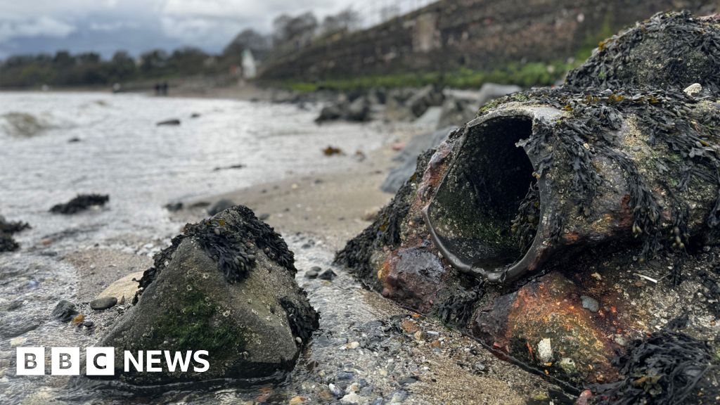 Environment watchdog to investigate sewage discharges