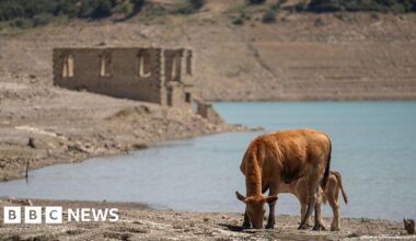 What is the Paris climate agreement and why does 1.5C matter?